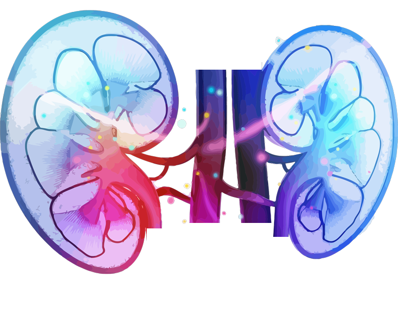 istanbul diyaliz merkezleri